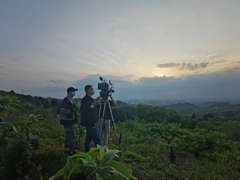 创意破圈！婺城区电商产品宣传视频用故事化叙事引爆流量
