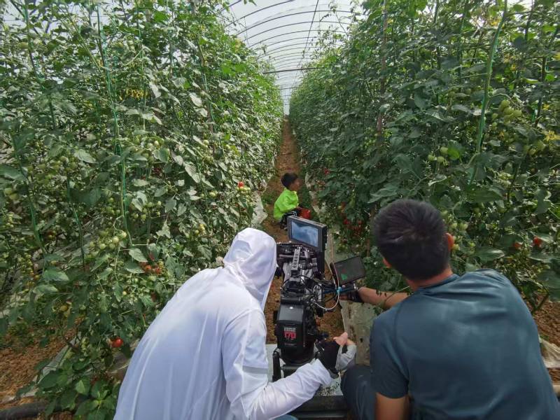 婺城区产品宣传视频拍摄公司进阶指南，助力品牌抢占传播高地